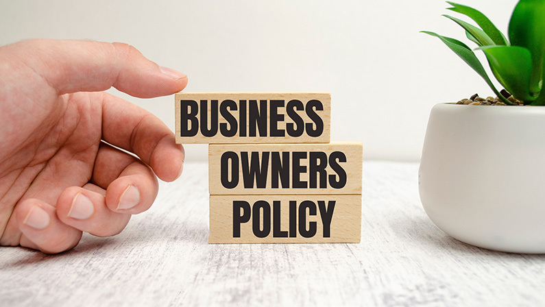 business owners policy words on wooden blocks and plant