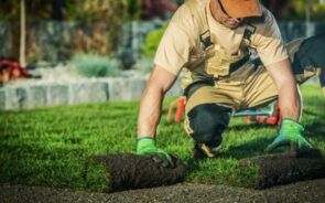 Landscape Business Insurance Protecting Your Business and Assets